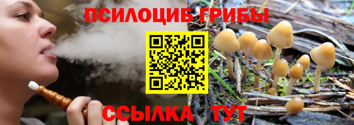 Галлюциногенные грибы мицелий  Вход с VPN  Дедовск  Галлюциногенные грибы ЛСД 